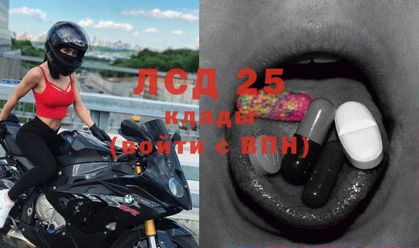 эйфоретик Абинск