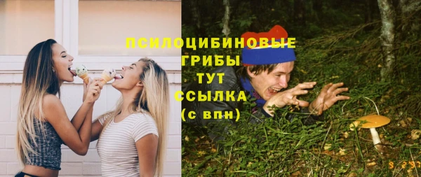 эйфоретик Абинск