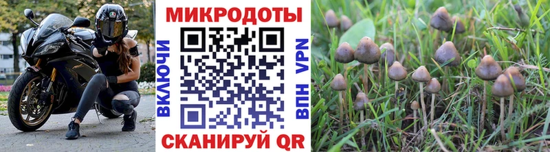 Псилоцибиновые грибы Magic Shrooms  где купить   Терек 